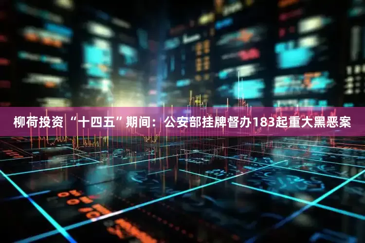 柳荷投资 “十四五”期间：公安部挂牌督办183起重大黑恶案